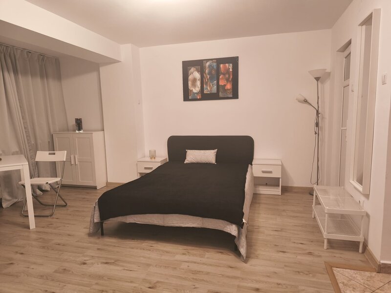 Brezoianu, Cismigiu, Universitate, Centrul Vechi, Calea Victoriei